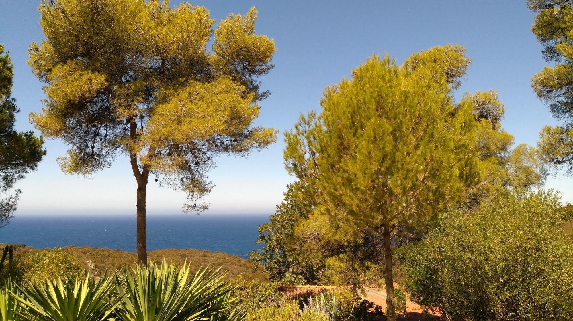 Ferayola Hotel 3*